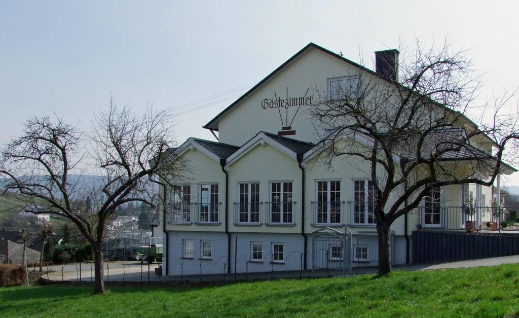 Wein & Gaestehaus Rosenlay Lieser Luaran gambar